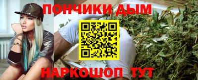 шишки Будённовск