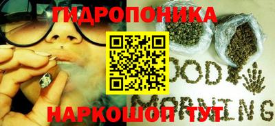 шишки Будённовск