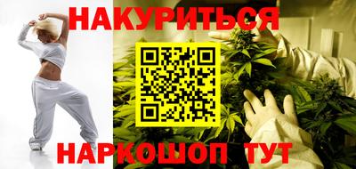 шишки Будённовск