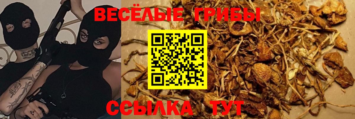 Псилоцибиновые грибы мицелий  Псилоцибиновые грибы Magic Shrooms  Вход с VPN  Отрадное 